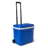 Nevera Igloo Profile 26L Roller